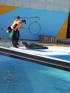 東武動物公園に投稿された画像（2023/10/23）