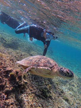 nico 宮古島に投稿された画像（2023/10/23）