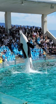 鴨川シーワールドに投稿された画像（2023/10/23）