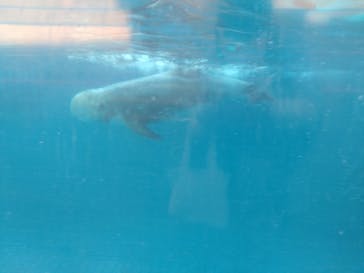 新江ノ島水族館に投稿された画像（2023/10/23）