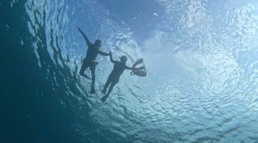 西表島 ADVENTURE PiPi（アドベンチャーピピ）に投稿された画像（2023/10/23）