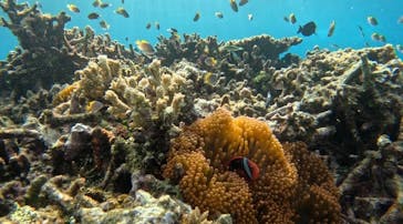 西表島 ADVENTURE PiPi（アドベンチャーピピ）に投稿された画像（2023/10/23）