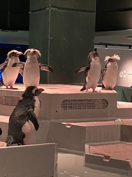 AOAO SAPPOROに投稿された画像（2023/10/23）