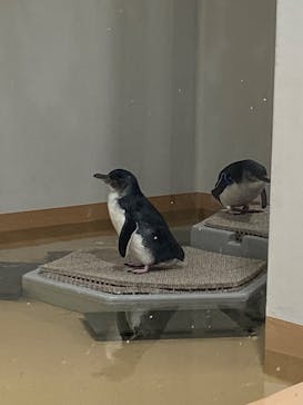 AOAO SAPPOROに投稿された画像（2023/10/23）