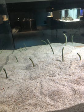 AOAO SAPPOROに投稿された画像（2023/10/23）