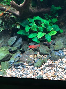 AOAO SAPPOROに投稿された画像（2023/10/23）