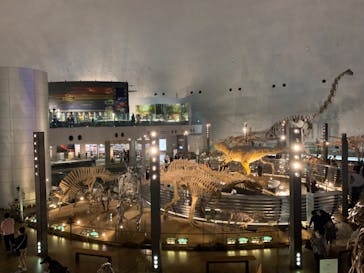 福井県立恐竜博物館に投稿された画像（2023/10/23）