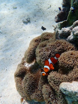 nico 宮古島に投稿された画像（2023/10/23）