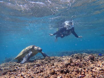 nico 宮古島に投稿された画像（2023/10/23）