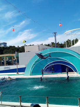 鴨川シーワールドに投稿された画像（2023/10/23）