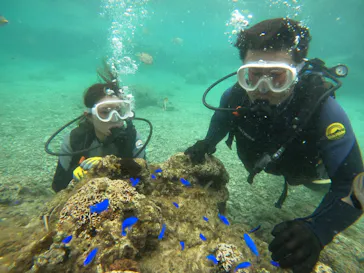 武藤潜水に投稿された画像（2023/10/24）