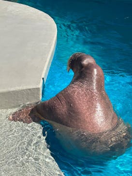 鴨川シーワールドに投稿された画像（2023/10/24）