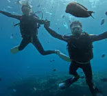 武藤潜水に投稿された画像（2023/10/24）