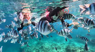 武藤潜水に投稿された画像（2023/10/24）