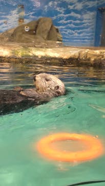 マリンワールド海の中道に投稿された画像（2023/10/24）