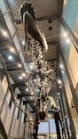 福井県立恐竜博物館に投稿された画像（2023/10/24）