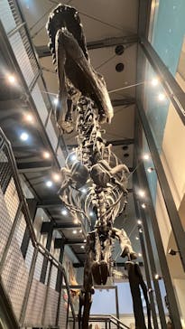 福井県立恐竜博物館に投稿された画像（2023/10/24）