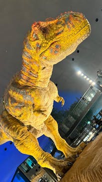 福井県立恐竜博物館に投稿された画像（2023/10/24）