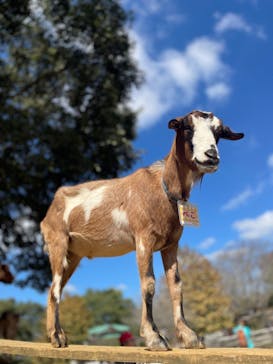 成田ゆめ牧場に投稿された画像（2023/10/24）