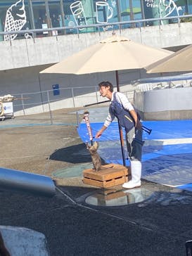 大分マリーンパレス水族館 「うみたまご」に投稿された画像（2023/10/24）