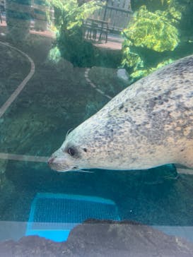 京都水族館に投稿された画像（2023/10/24）