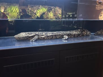 京都水族館に投稿された画像（2023/10/24）