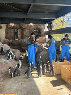 京都水族館に投稿された画像（2023/10/24）