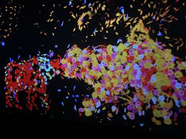 チームラボに投稿された画像（2023/10/24）