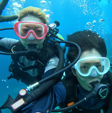 武藤潜水に投稿された画像（2023/10/24）