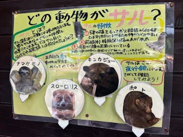 那須ワールドモンキーパークに投稿された画像（2023/10/22）