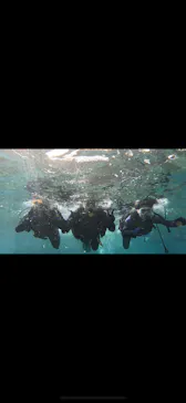 武藤潜水に投稿された画像（2023/10/24）