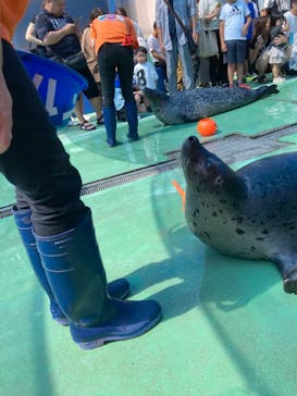 ゼロ距離水族館 伊勢シーパラダイスに投稿された画像（2023/9/25）