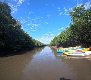 西表島 ADVENTURE PiPi（アドベンチャーピピ）に投稿された画像（2023/10/24）