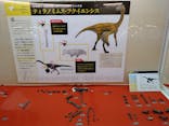 福井県立恐竜博物館に投稿された画像（2023/10/24）