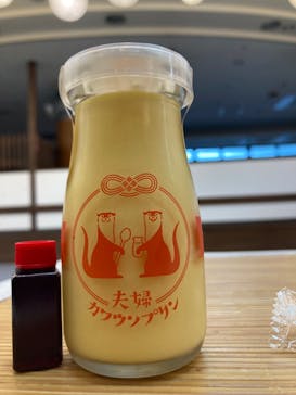 ゼロ距離水族館 伊勢シーパラダイスに投稿された画像（2023/10/24）