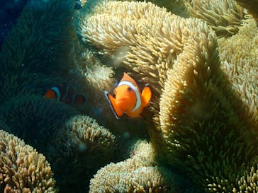 nico 宮古島に投稿された画像（2023/10/24）