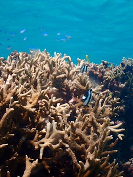 nico 宮古島に投稿された画像（2023/10/24）