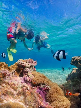 nico 宮古島に投稿された画像（2023/10/24）