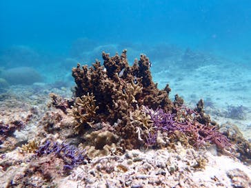 nico 宮古島に投稿された画像（2023/10/24）