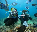 沖縄マリンサービス碧に投稿された画像（2023/10/24）