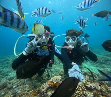 沖縄マリンサービス碧に投稿された画像（2023/10/24）