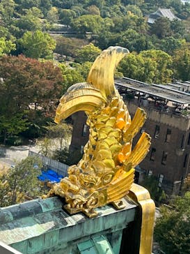 大阪城天守閣に投稿された画像（2023/10/24）
