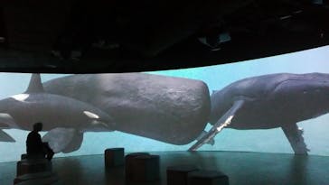 カワスイ 川崎⽔族館に投稿された画像（2023/10/24）