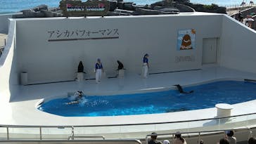 鴨川シーワールドに投稿された画像（2023/10/24）