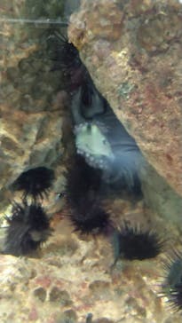 鴨川シーワールドに投稿された画像（2023/10/24）