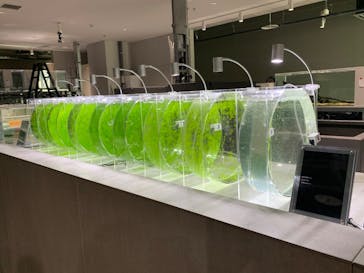 AOAO SAPPOROに投稿された画像（2023/10/24）