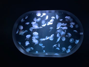 AOAO SAPPOROに投稿された画像（2023/10/24）