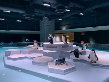 AOAO SAPPOROに投稿された画像（2023/10/24）