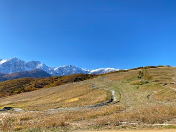 白馬岩岳マウンテンリゾートに投稿された画像（2023/10/24）