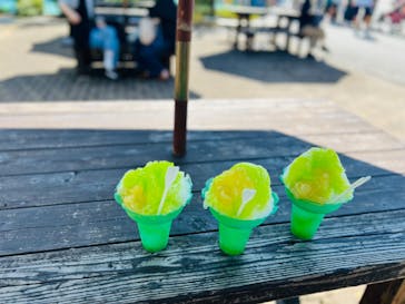 浜名湖パルパルに投稿された画像（2023/10/24）